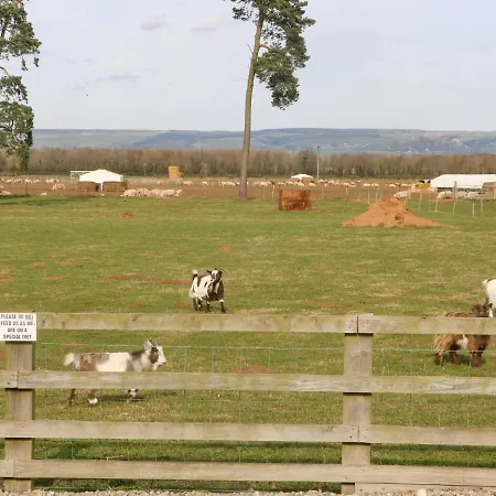 Cowshed